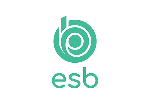 Logo esb, un des partenaires du drakkar de Vendée