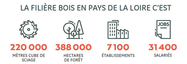 La filière bois en Pays de la Loire et les chiffres