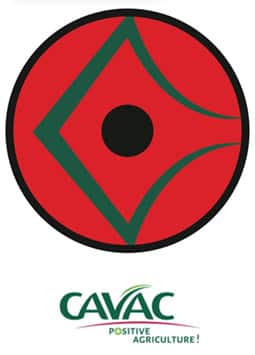 Cavac